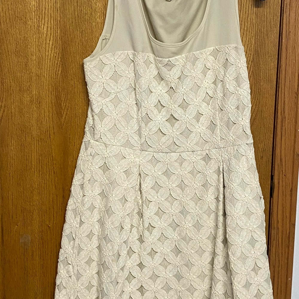 Tan sleeveless to the kneecap. Sheer on the top.